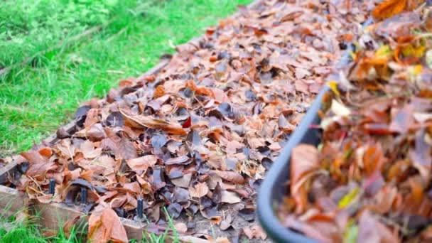 Łóżka Ogrodowe Posypane Opadłymi Liśćmi Jesienią Pełny Ogród Taczki Suchych — Wideo stockowe