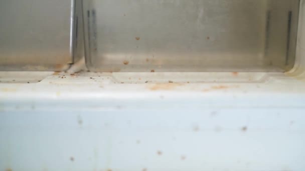 Βρώμικο Ψυγείο Λεφτά Και Ψίχουλα Φαγητού Στο Πάτωμα Ενός Οικιακού — Αρχείο Βίντεο