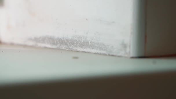 Zbliżenie Nachylenia Okna Zużytego Betonu Stary Remont Kurz Grzyb Parapecie — Wideo stockowe