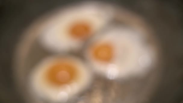Gotowanie Jajecznicy Bliska Zamazane Trzy Jajka Smażone Patelni Widok Góry — Wideo stockowe
