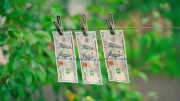 Háromszáz Dolláros Bankjegyek Lógnak Egy Utcai Ruhaszekrényen Közelkép Sima Kamera — Stock videók