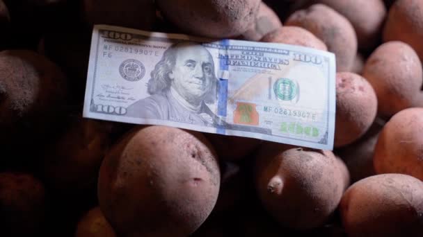 Honderd Dollar Contant Een Close Van Een Rode Aardappel Top — Stockvideo