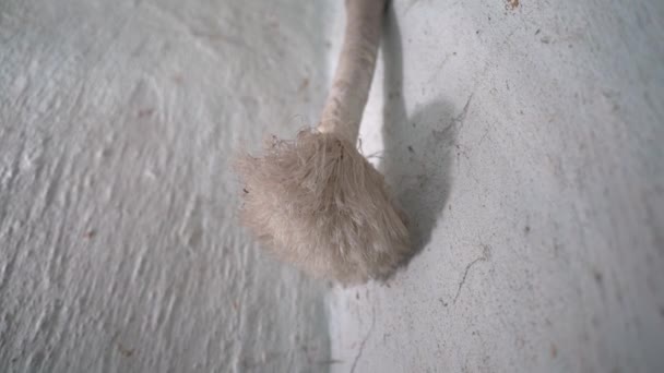 Brush Whitewashing Clay Walls Hanging Wall Close Synthetic Whitewash Brush — Stock Video