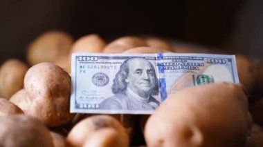 Kağıt 100 dolar yakın plan beyaz patates, pürüzsüz kamera hareketi. Yüksek kaliteli FullHD görüntüler