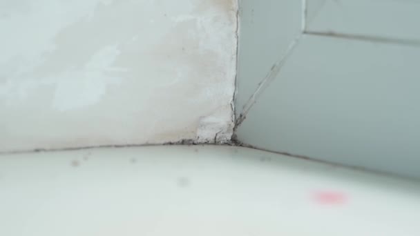 Freezing Wall Window Moisture Ingress High Quality Fullhd Footage — Stock Video