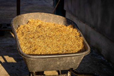 Gün batımında el arabasında kuru çimenler. Yakın plan.