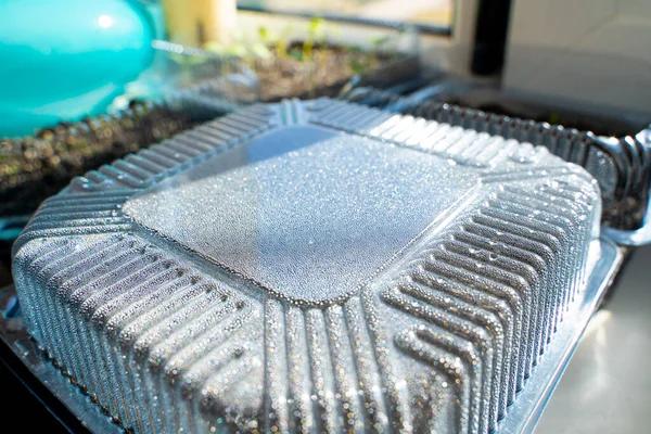 内側からコンデンセートでミス苗を持つ透明なプラスチック容器 春に窓の上で種を発芽させるためのマイクロ温室の壁に水の滴 — ストック写真