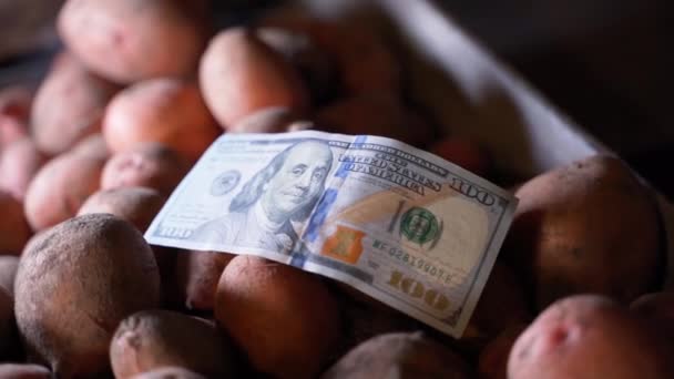 Ένα Χαρτονόμισμα Των 100 Δολαρίων Βρίσκεται Ένα Κοντινό Πλάνο Πατάτας — Αρχείο Βίντεο
