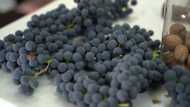 Harvested Bunch Blue Grapes Closeup Camera Movement High Quality Footage — Stock Video