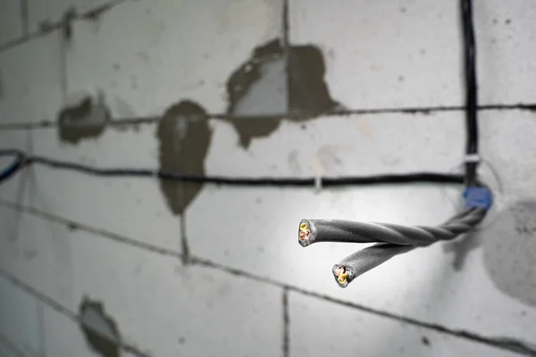 Divorced electrical wires on bare walls made of aerated concrete bricks. Close-up of the prepared wire for the socket on the wall. Electrical planning in a private house during construction