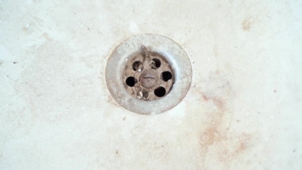 Dirty Banheiro Dreno Entupido Com Cabelo Sujeira Close Imagens Fullhd — Vídeo de Stock