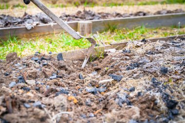 Baharda sebze bahçesi toprağıyla kömürü karıştırmak. Ağaç külü katılmış düz bir keski ile bahçe yataklarını sabanla sürmek. Bahçıvanlık sezonu başlıyor.