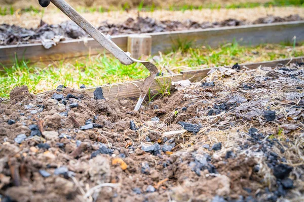 Mezclar Suelo Vegetal Con Carbón Vegetal Primavera Colocando Camas Jardín — Foto de Stock