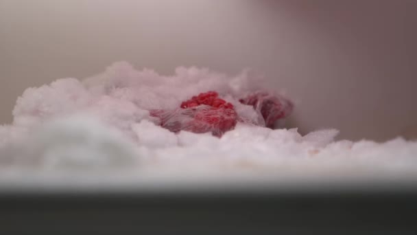 Maliny Przezroczystej Plastikowej Torbie Śniegu Zamrażarce Lodówki Zimowe Zapasy Jagód — Wideo stockowe
