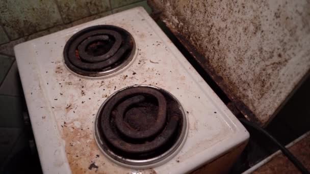 Mold Fungus Mouse Droppings Old Kitchen Electric Stove Kitchen Terrible — Stock Video