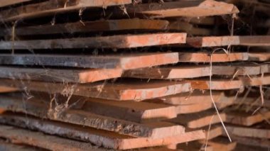 Terk edilmiş kereste deposu, tozla kaplı meşe kalasları ve örümcek ağları. Yüksek kaliteli FullHD görüntüler