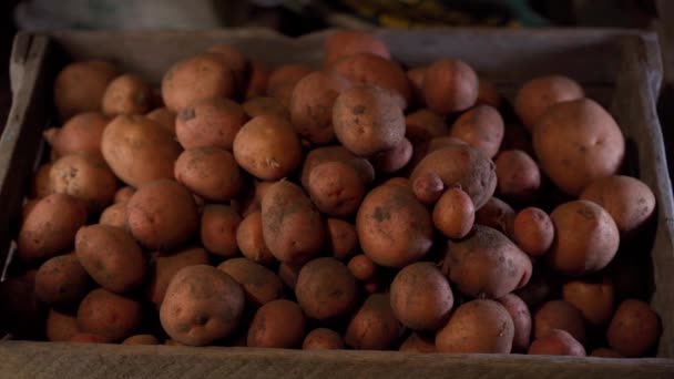 Hand Shows Thumbs Background Box Potatoes Man Giving Potato Grower — Stock Video