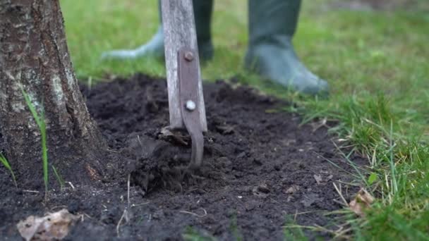 ゴムブーツの庭師の女性は ゆっくりとした動きで 木の近くの土を耕します 高品質のフルHd映像 — ストック動画