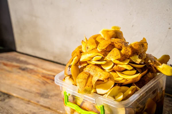 Burgonya Héj Egy Műanyag Tartályban Közelkép Élelmiszer Hulladék Külön Válogatva — Stock Fotó