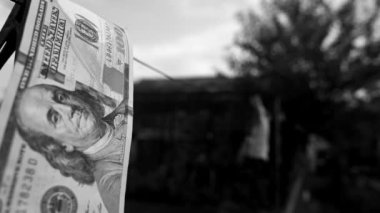 Mandallar için nakit dolar, siyah beyaz video. Çamaşır ipine asılmış yüz dolarlık banknotlar. Yüksek kaliteli FullHD görüntüler