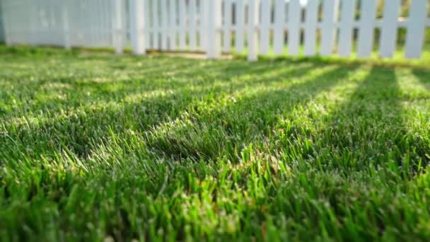 在美丽光滑的绿色草坪上平整的相机 来自夕阳的坚硬阴影 乡间草坪上的绿草 优质Fullhd影片 — 图库视频影像
