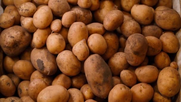 Caixa Cheia Batatas Brancas Vista Superior Câmara Câmara Lenta Suave — Vídeo de Stock