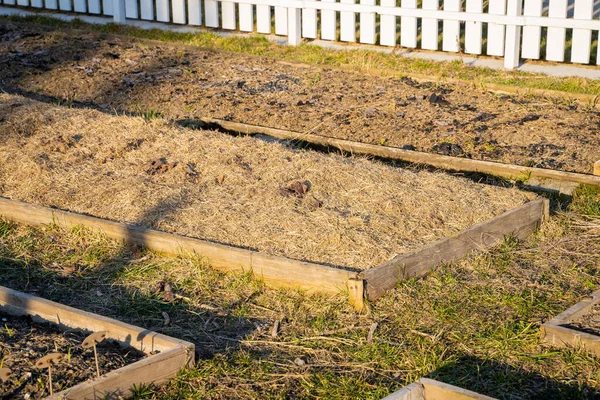 Tuinbedden Zijn Bedekt Met Droog Gras Het Voorjaar Mulchen Van — Stockfoto