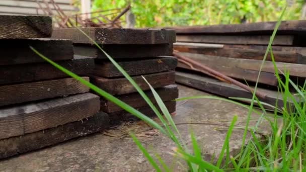 Mokre Drewniane Deski Zielonej Trawie Bliska Wysokiej Jakości Materiał Filmowy — Wideo stockowe