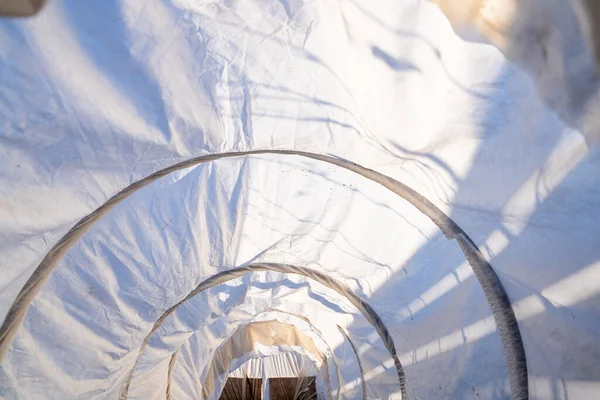 stock image Agrofibre greenhouse, inside view. Greenhouse for growing plants in early spring