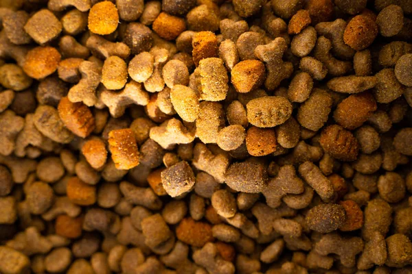 Droge Hondenvoer Close Volledig Scherm Achtergrond Van Universeel Droog Voedsel — Stockfoto