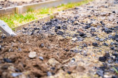 Bahçe toprağı yakın plan ahşap külleri ile döllenir. Bahçe yataklarındaki toprağın verimliliğini artırıyor.