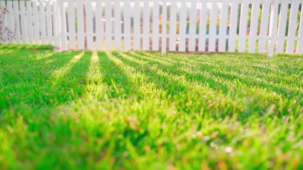晴れた日に田舎の芝生の暖かい夏の庭を通ってカメラの飛行 緑豊かな緑の芝生の上で太陽の影や光線 手入れの行き届いた芝生のトリミング 白い木製のフェンス サングレア 高品質フルHd — ストック動画