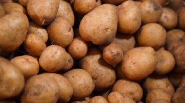 Bir sürü beyaz patates, yakın çekim, üst manzara. Pürüzsüz kamera hareketi. Yüksek kaliteli FullHD görüntüler