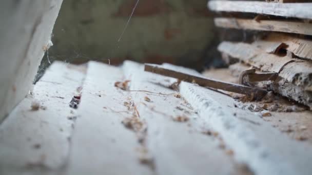 Abandoned Warehouse Polystyrene Insulation Wooden Boards Dust Close Smooth Camera — Stock Video
