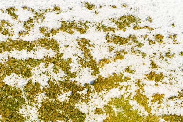Derreter Neve Grama Tempo Ensolarado Vista Superior — Fotografia de Stock
