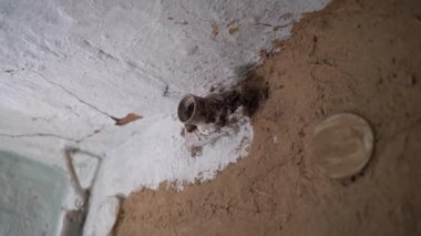Bodrumdaki eski bir kil duvarda boş bir ampul prizi, pürüzsüz bir kamera hareketi. Yüksek kaliteli FullHD görüntüler