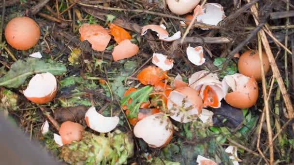 Kompostowanie Odpadów Organicznych Stercie Kompostu Zbliżenie Wysokiej Jakości Materiał Filmowy — Wideo stockowe