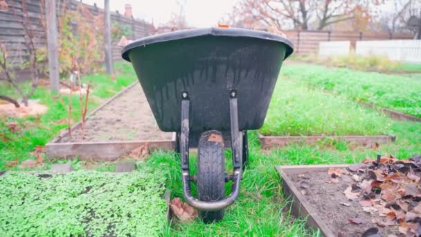 Islak Yapraklarla Dolu Bir Tekerleği Olan Siyah Plastik Bahçe Arabası — Stok video