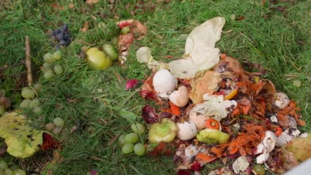 Kompost Prywatnej Działce Widok Góry Marnowanie Żywności Wysokiej Jakości Materiał — Wideo stockowe