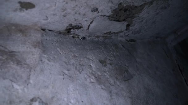 Levanta Lentamente Cave Escura Cima Paredes Abrigo Movimento Suave Câmera — Vídeo de Stock
