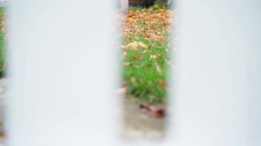 Kurumuş sonbahar bahçesi ardında bir çit bırakır, düzgün kamera hareketi. Yüksek kaliteli FullHD görüntüler