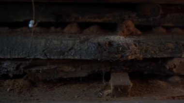 Bir depoda böcek hasarlı meşe tahtaları. Haşere istilasından sonra kereste. Yüksek kaliteli FullHD görüntüler