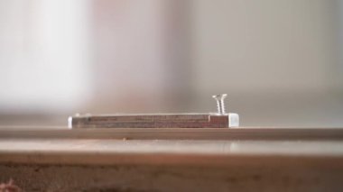 Phillips tornavidayla arka planda bulanık bir şekilde kendini becermeye yakın plan. Yüksek kalite 4k görüntü