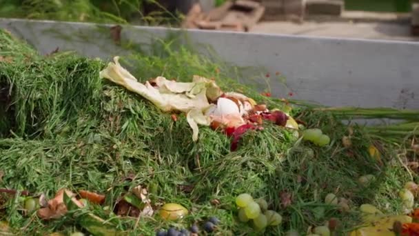Composteren Van Vers Gemaaid Groen Gras Voedselafval Een Composthoop Hoge — Stockvideo