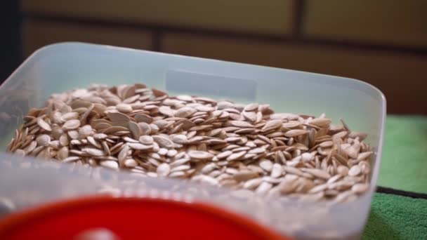カボチャの種とプラスチック容器 クローズアップ 皮をむかないカボチャの種を乾燥させる 高品質のフルHd映像 — ストック動画