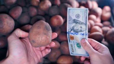Bir adam kırmızı bir patates için yüz dolar teklif ediyor. Tarım pazarında sebze satışı. Kaliteli çiftlik patatesi fiyatlarında artış. Yüksek kalite 4k görüntü