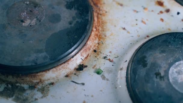 Yemek Artıklarıyla Mutfak Ocağı Yanmış Yağ Pürüzsüz Kamera Tepsisi Yüksek — Stok video