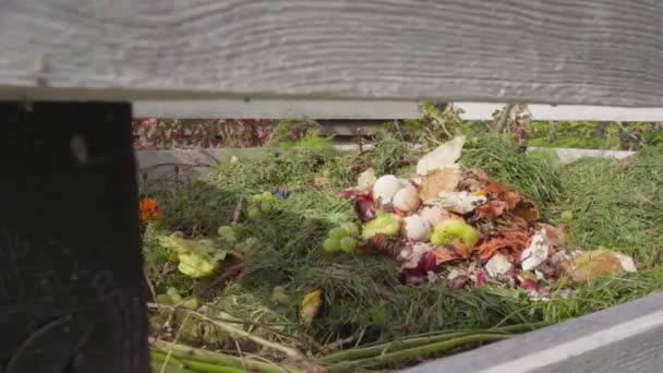 Kompost Hög Solig Sommardag Närbild Trästomme För Ekologisk Kompostering Högkvalitativ — Stockvideo