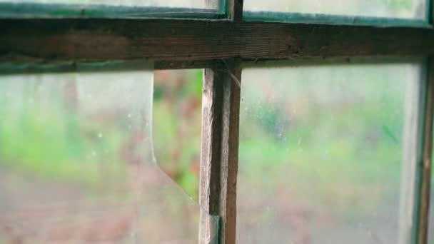 Bulanık Bir Arka Planda Eski Bir Evin Kırık Camları Pencerede — Stok video