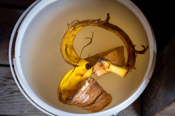 水にバナナの皮を浸し クローズアップ 散水植物や給餌植物のための有用なチンキを作る バナナピールのリサイクル — ストック写真